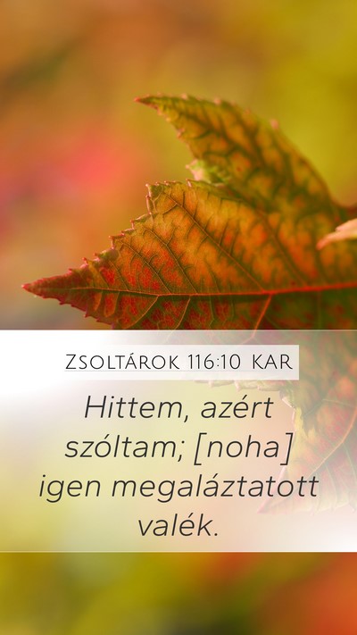Zsoltárok 116:10 KAR Mobile Phone Wallpaper - Hittem, azért szóltam; [noha] igen - Mobile Bible Verse Wallpaper