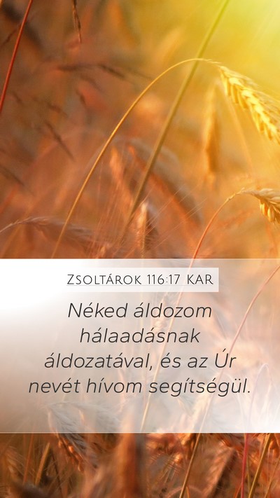 Zsoltárok 116:17 KAR Bible Verse Image