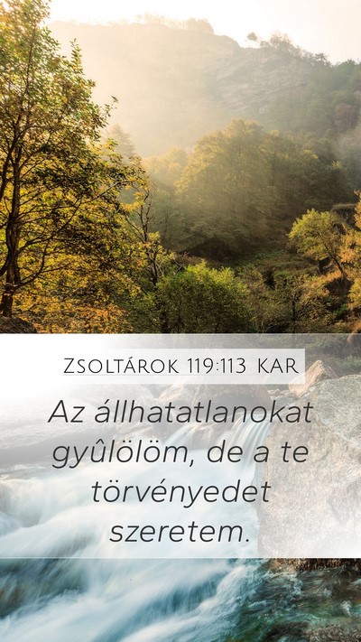 Zsoltárok 119:113 KAR Bible Verse Image