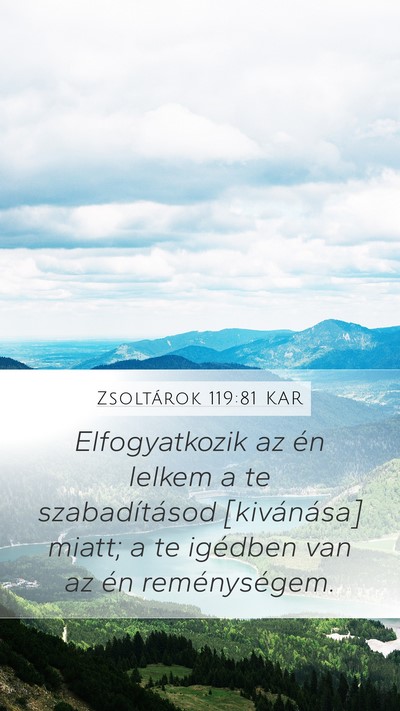 Zsoltárok 119:81 KAR Bible Verse Image