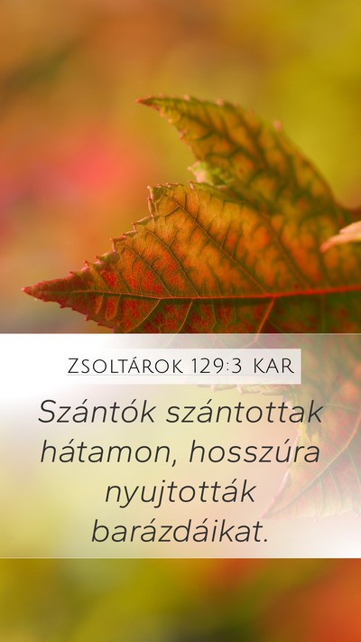 Zsoltárok 129:3 KAR Bible Verse Image