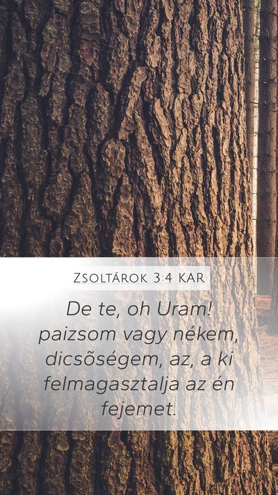 Zsoltárok 3:4 KAR Bible Verse Image