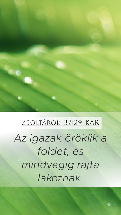 Zsoltárok 37:29 KAR Bible Verse Image
