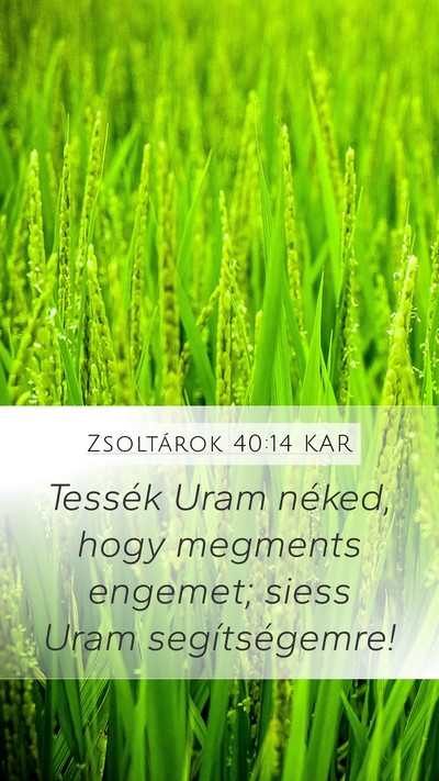 Zsoltárok 40:14 KAR Bible Verse Image