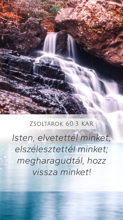 Zsoltárok 60:3 KAR Bible Verse Image