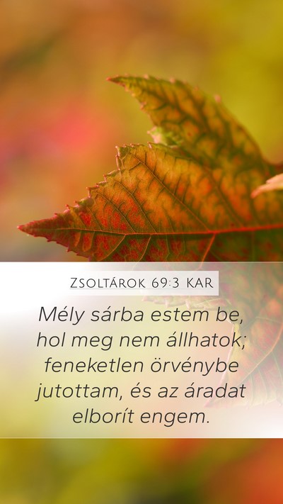 Zsoltárok 69:3 KAR Mobile Phone Wallpaper - Mély sárba estem be, hol meg nem állhatok; - Mobile Bible Verse Wallpaper