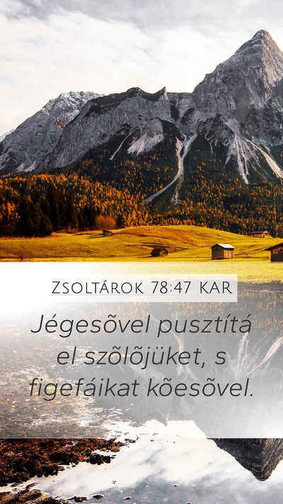 Zsoltárok 78:47 KAR Bible Verse Image
