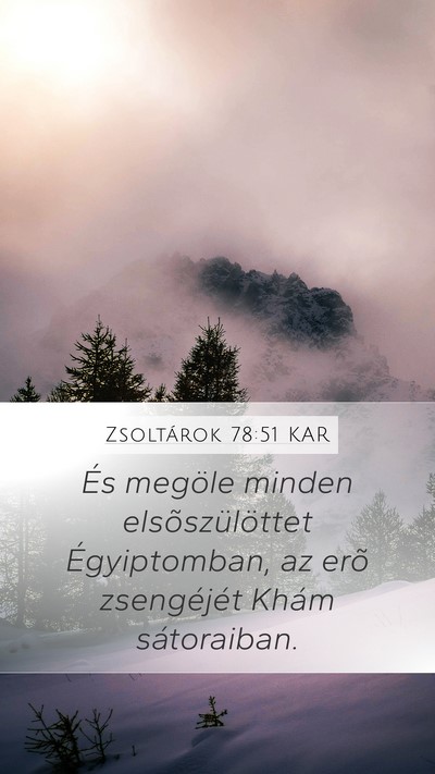 Zsoltárok 78:51 KAR Bible Verse Image