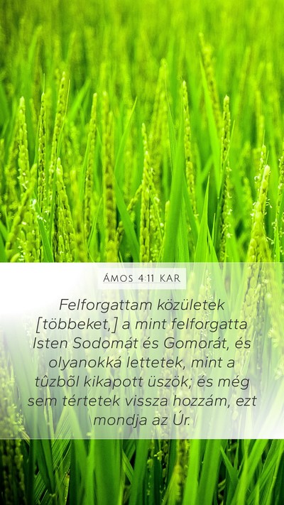 Ámos 4:11 KAR Bible Verse Image