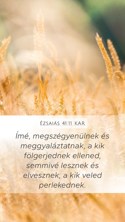 Ézsaiás 41:11 KAR Bible Verse Image