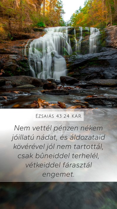 Ézsaiás 43:24 KAR Bible Verse Image